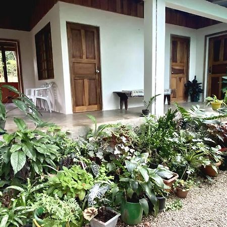 Casa Briza Pension Nicoya Buitenkant foto