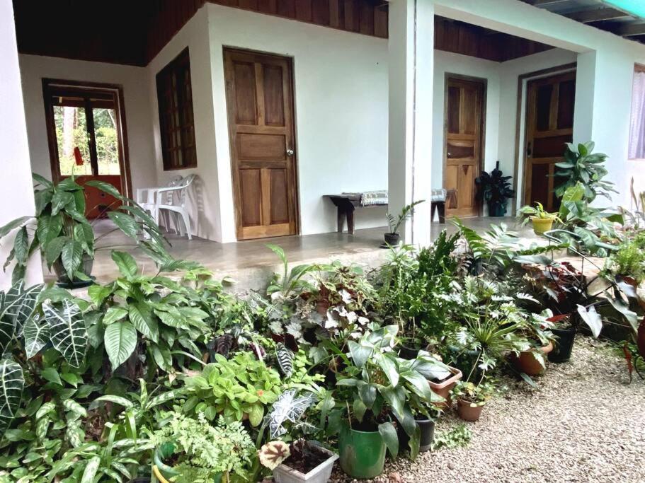 Casa Briza Pension Nicoya Buitenkant foto