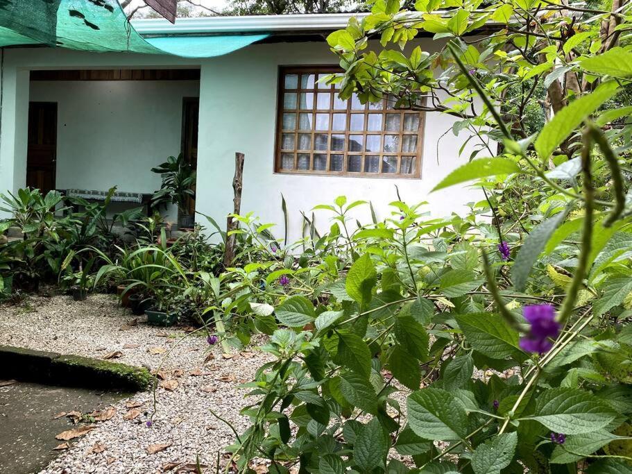 Casa Briza Pension Nicoya Buitenkant foto